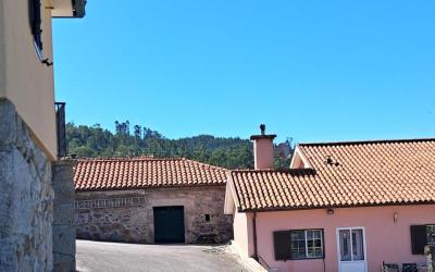 Quinta agricola com casa